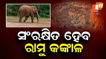 Ramu Elephant Skeleton to Be Preserved