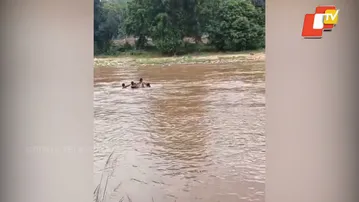 Villagers Risk Lives Crossing River with Girl on Makeshift Raft in Kandhamal