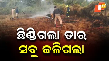 Snapped 11 KV Power Line Burns Paddy Crop of 5 Farmers in Balasore