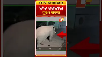 11AM Headlines | 21th December 2025 | #OTVshorts #OTVHeadlines  | OTV