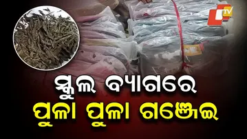 Brahmapur Police Bust Ganja Smuggling Ring — 17 kg, 10 Plastic Bats & 23 School Bags Seized
