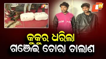 Sniffer dog busts ganja smuggling; Bhubaneswar GRP seizes parcels, arrests two | OTV