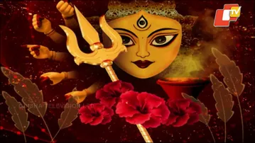 Bhubaneswar Fest Crowd Struggles as Public Toilets Stay Shut