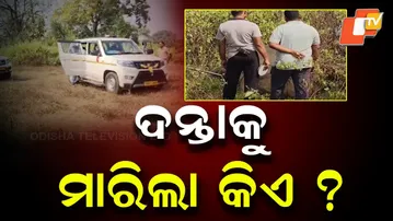 Elephant Critically Injured After Suspected Bomb Explosion in Mouth in Mayurbhanj