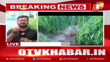 Pipeline burst during Suktel trial floods farmland in Balangir