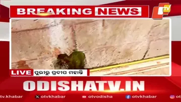 Water Seepage Again from Shrimandir’s Meghanad Pacheri Raises Concern