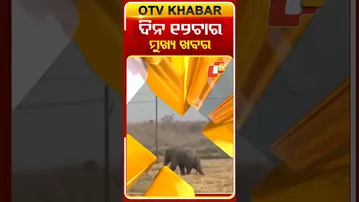 12 PM Headlines  | 20th December 2025 #OTVshorts #OTVHeadlines