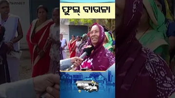 News Fuse | Reels | ଫୁଲ୍ ବାଉଳା #otv #odishatv #otvshorts