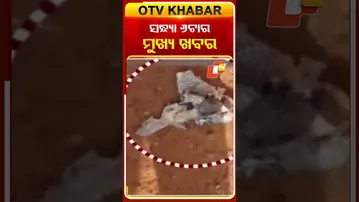 ଦେଖନ୍ତୁ ସନ୍ଧ୍ୟା ୬ଟାର ମୁଖ୍ୟଖବର...#OTVHeadlines #TopHeadlines #OTVShorts #OTV #Odisha