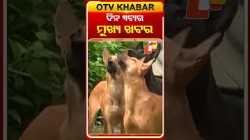 ଦେଖନ୍ତୁ ଦିନ 3ଟାର ମୁଖ୍ୟ ଖବର | 14th January 2026 #3PMHeadlines #OTV