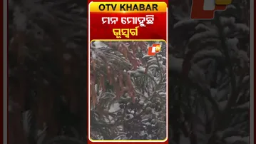 ଭାରତର ସ୍ବର୍ଗ ଜାମ୍ମୁକାଶ୍ମୀରରେ ଆରମ୍ଭ ହୋଇଛି ବରଫ ପାତ, ଏହି ସମୟରେ ପ୍ରକୃତିର ସୌନ୍ଦର୍ଯ୍ୟ ୧୦୦ ଗୁଣା ବଢିଛି