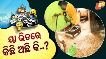 News Fuse 13 OCT 2025