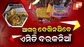 Special Story:Banyan Peepal Wedding in Balasore! Odisha Revives Rare Bar–Ashwath Marriage Ritual
