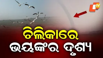 Sudden Tornado-Like Waterspout at Chilika Lake Shocks Witnesses
