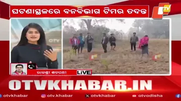 Elephant Calf Found Dead in Dhenkanal