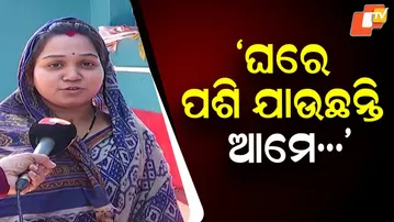 “Pests have invaded our homes!” — Insect crisis grips Kalabuda village, residents fear stepping out