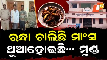 Special Story: Wild Meat Feast Busted Inside Panchayat Office During Wildlife Week in Athagarh