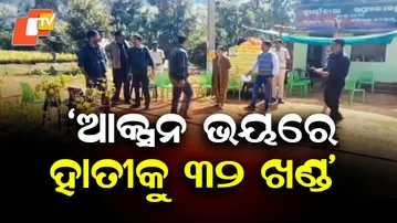 Belghar Elephant Death: Suspended Deputy Ranger Cut Body into 32 Pieces, Says RCCF