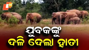 Youth Trampled to Death in Elephant Attack Near Karanjia Forest Range