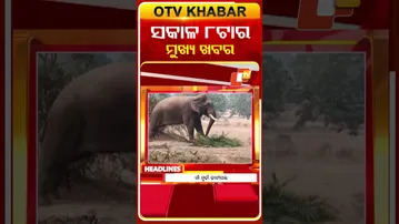 ସକାଳ ୮ଟା ଟପ୍ ହେଡଲାଇନ୍ସ | 8AM Headlines | 2nd February 2026 | Odisha TV | Odia News | OTV