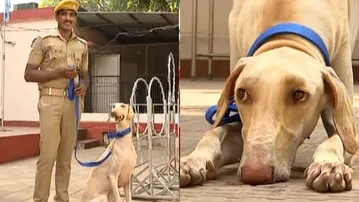 Mudhol Hounds steal the show at 70th State Police Duty Meet in Cuttack