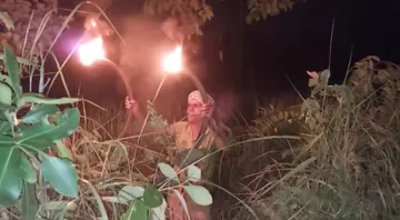 Farmers turn watchmen to save crops from wildlife in Dhenkanal