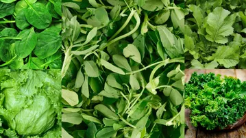 Fight uric acid naturally