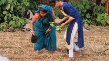 Cyclone Montha threat deepens woes of flood-hit farmers in Balasore