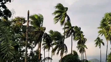 Odisha’s Laxmipur bears the brunt as Cyclone ‘Montha’ unleashes heavy rain, wind gusts