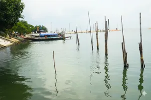 Chilika lake fishermen evacuated, boats secured as Cyclone 'Montha' approaches