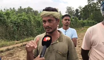 Odisha farmers fear cyclone ‘Montha’ could wipe out months of hard work