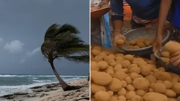 Cyclone ‘Montha’ sparks panic buying in Odisha; traders assure ample supply, appeal against hoarding