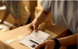 Representational Picture