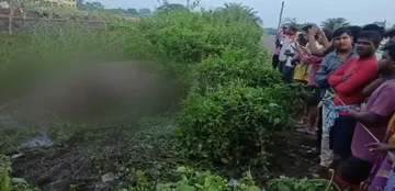 Tusker dies after being hit by train in Odisha's Mayurbhanj