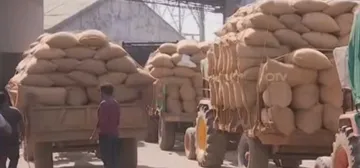 Odisha govt raises paddy MSP by Rs 69 per quintal for Kharif 2025