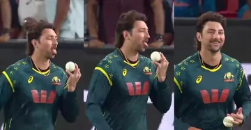 Tim David’s controversial celebration after dismissing Suryakumar Yadav sparks outrage