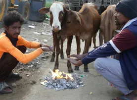 Odisha feels first touch of winter; Koraput wakes up to misty mornings, hot tea rush