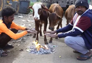 Cold Wave likely in Odisha as temperatures plunge below 10°C