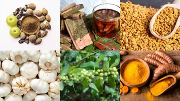 Ayurvedic ways to balance cholesterol naturally