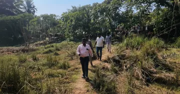 Panic grips Cuttack village as dead fishing cat mistaken for tiger cub