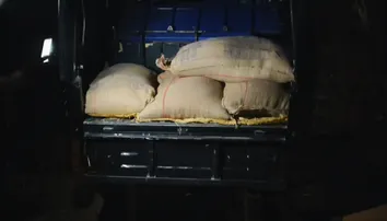 Villagers catch school headmaster allegedly diverting mid-day meal rice in Kandhamal