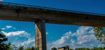 Bee attack at cremation ground in Rayagada leaves six people seriously injured