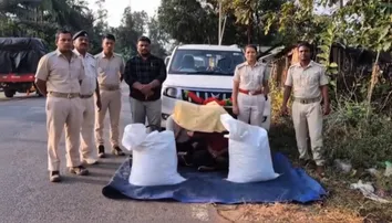 50kg ganja seized