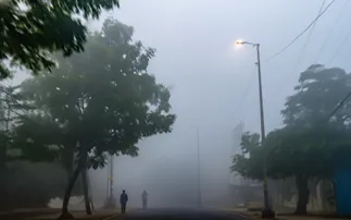 Dense fog disrupts traffic across multiple places in Odisha; Bhubaneswar and Konark also hit