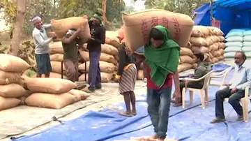 Odisha to kick off paddy procurement from tomorrow