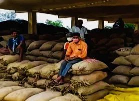 Paddy procurement set to begin in Odisha today, higher target set for current year