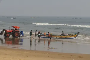 Olive Ridley deaths spark alarm as trawlers operate illegally off Odisha coast
