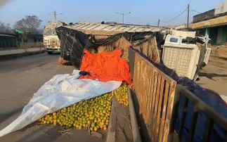 Oranges-laden truck overturns on NH-49 after being hit by speeding truck in Keonjhar