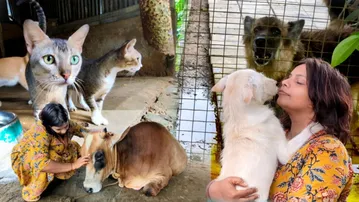 Odisha woman quits lucrative job to rescue abandoned and injured animals