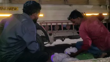 Ganja hidden under vegetable trays: Police bust smuggling racket in Athagarh